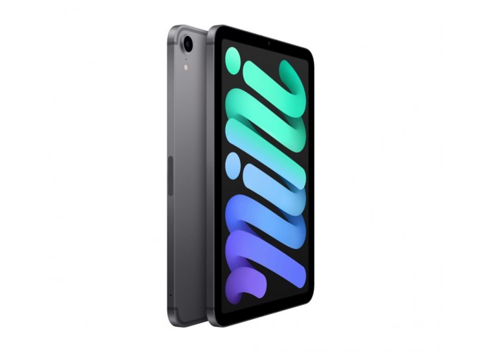 Планшет Apple iPad mini (2021) 64 Wi-Fi + Cellular (Серый космос) MK893